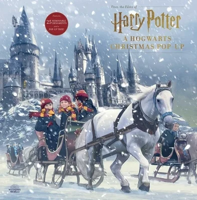 booksnthingswarehouse-11288503