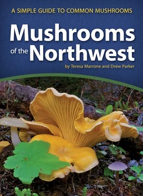 booksnthingswarehouse-11429630