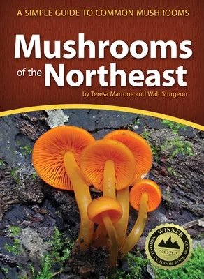 booksnthingswarehouse-11441809