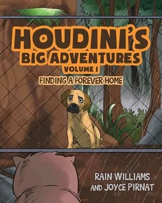 booksnthingswarehouse-11562414
