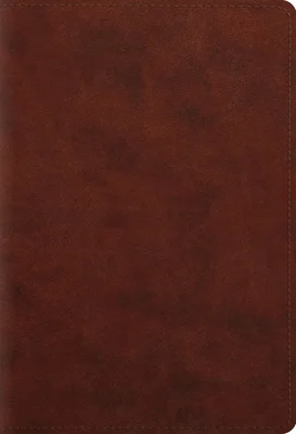 booksnthingswarehouse-11788609