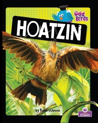 booksnthingswarehouse-11899215
