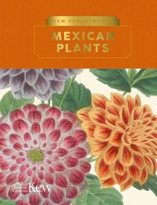 booksnthingswarehouse-11903697