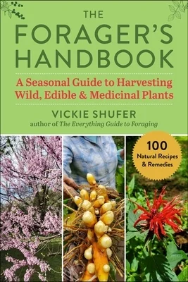 booksnthingswarehouse-11906644