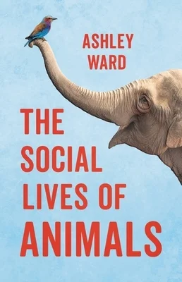 booksnthingswarehouse-12031238