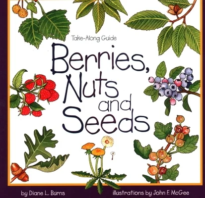 booksnthingswarehouse-12037179