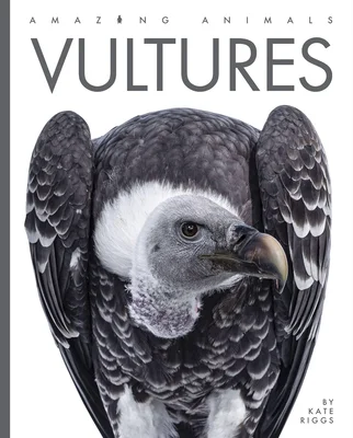 booksnthingswarehouse-12047004