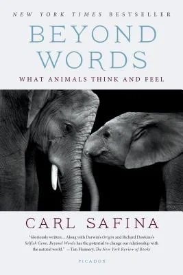 booksnthingswarehouse-21445171