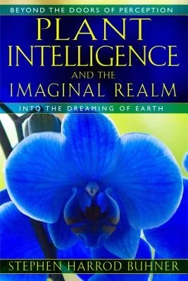booksnthingswarehouse-21467762