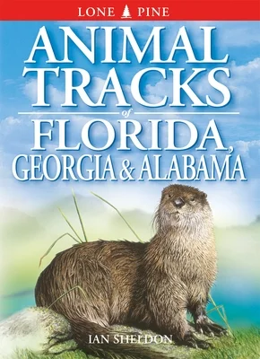 booksnthingswarehouse-21526505