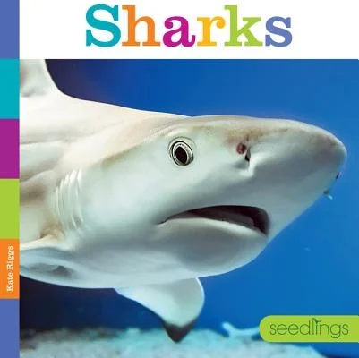 booksnthingswarehouse-21815166