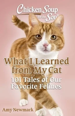 booksnthingswarehouse-21822065