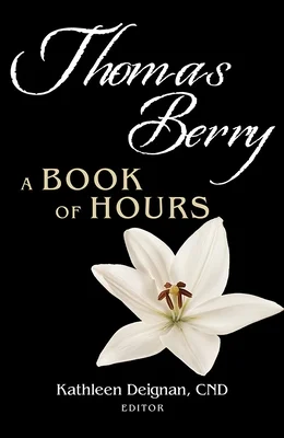 booksnthingswarehouse-21830130