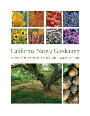 booksnthingswarehouse-22009338