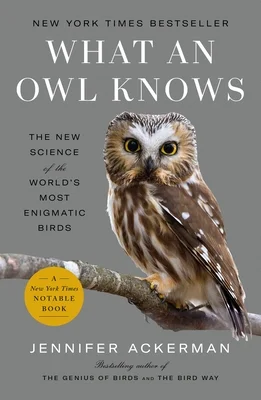 booksnthingswarehouse-22129592