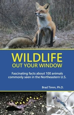 booksnthingswarehouse-31353987