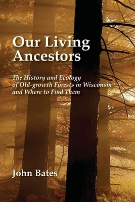 booksnthingswarehouse-31542173