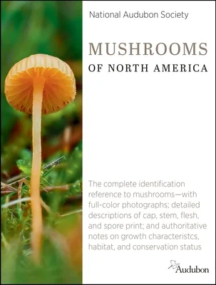 booksnthingswarehouse-31550160
