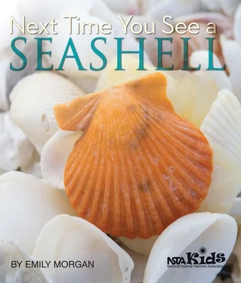 booksnthingswarehouse-31705966