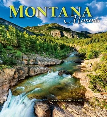 booksnthingswarehouse-32244974