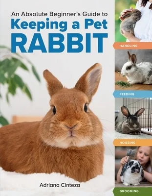 booksnthingswarehouse-41352335