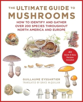 booksnthingswarehouse-41396318
