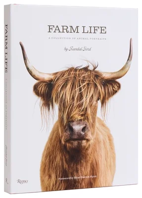 booksnthingswarehouse-41934743