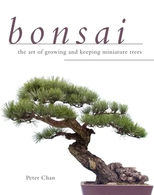 booksnthingswarehouse-42073892