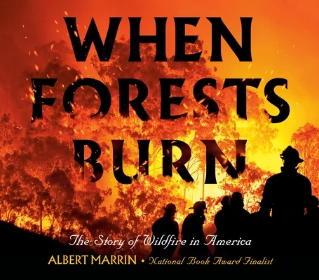booksnthingswarehouse1155675