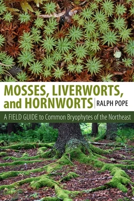 booksnthingswarehouse921151