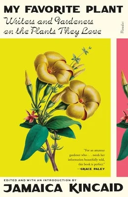 flowerburst-1920368