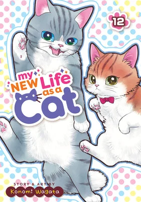 flowerburst-41003652