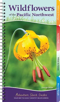 flowerburst-41144837