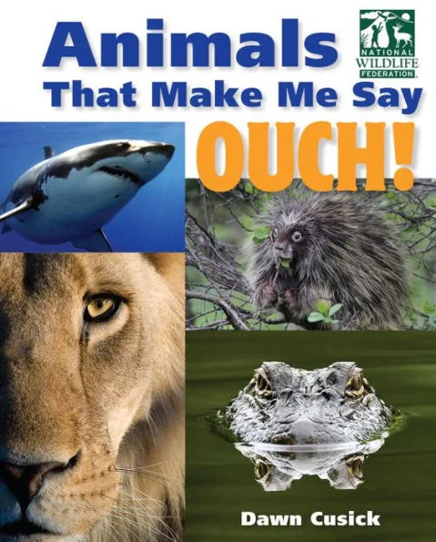massivebookshop-21392668
