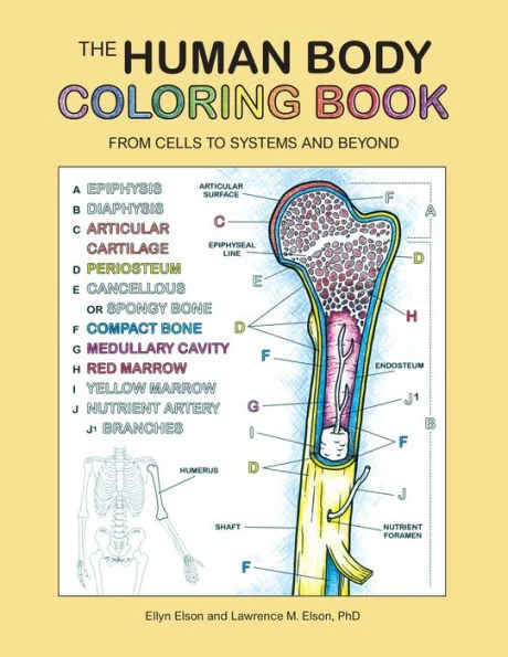 massivebookshop-21469471