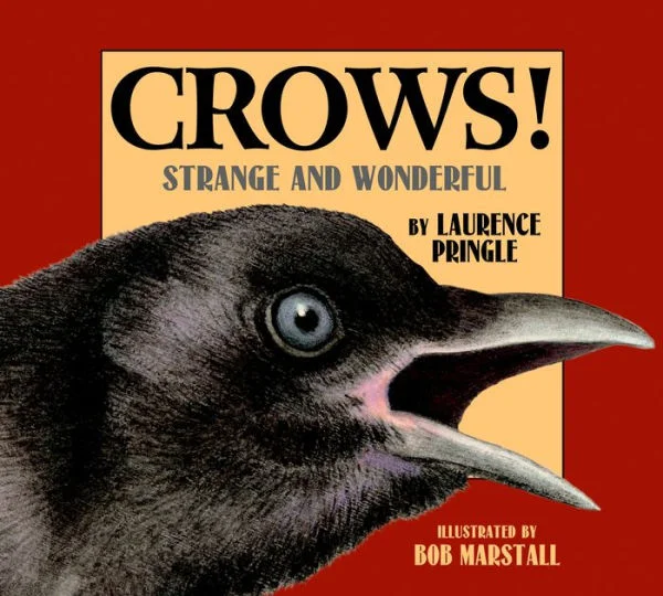 massivebookshop-21579836