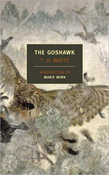 massivebookshop-31567557