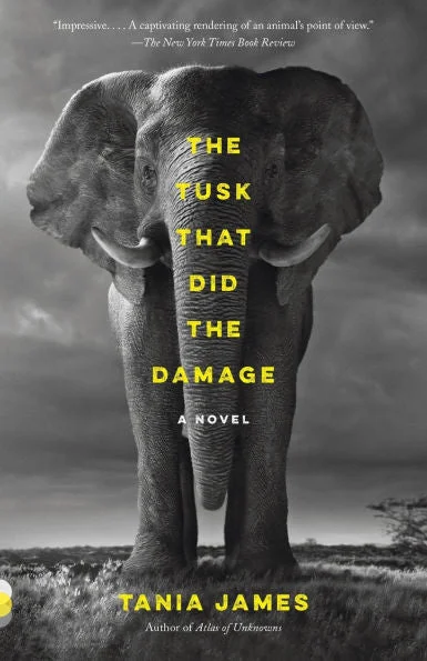 massivebookshop-41731112