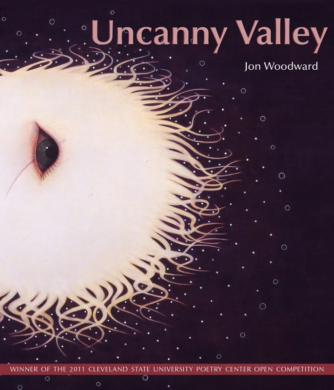 roundaboutbookstore-11447882