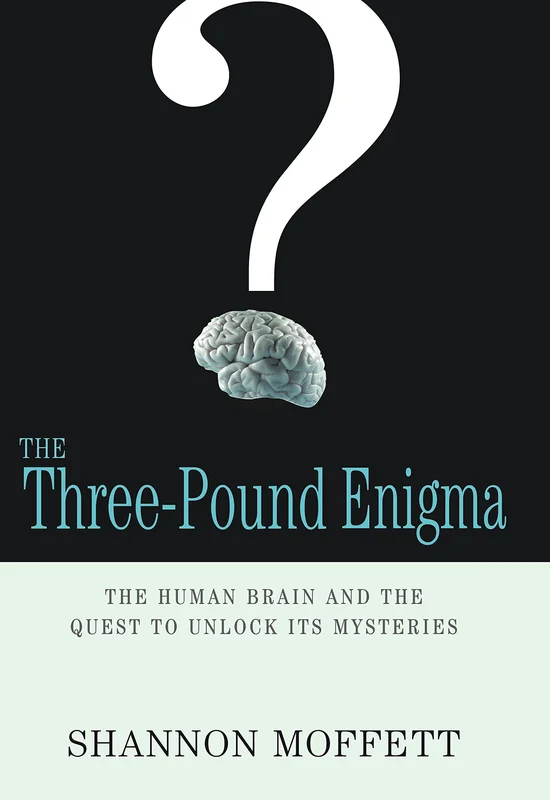 roundaboutbookstore-11481345