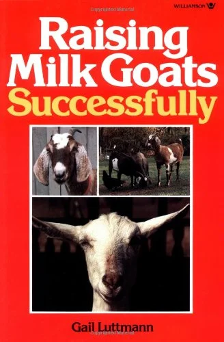 roundaboutbookstore-11499592