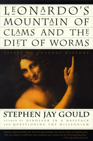 roundaboutbookstore-11599926
