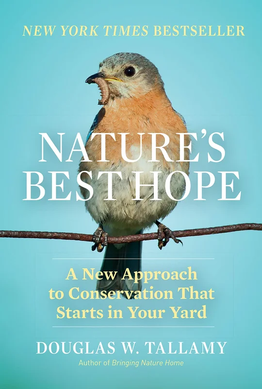 roundaboutbookstore-11614669