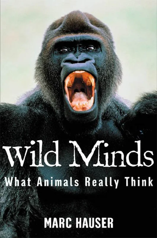 roundaboutbookstore-11636825