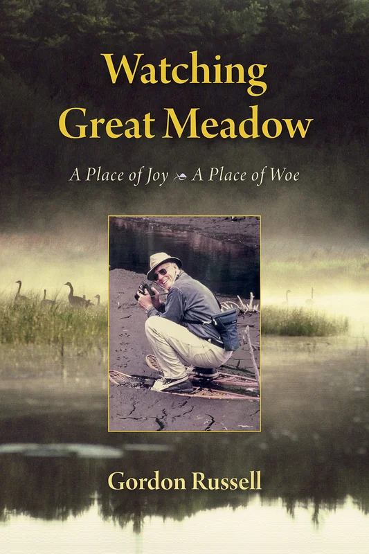 roundaboutbookstore-11637634