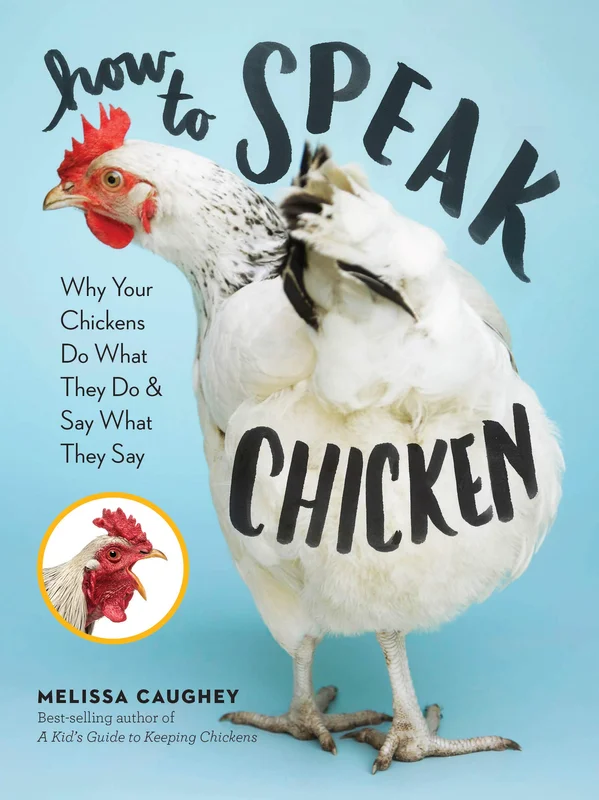 roundaboutbookstore-11640890