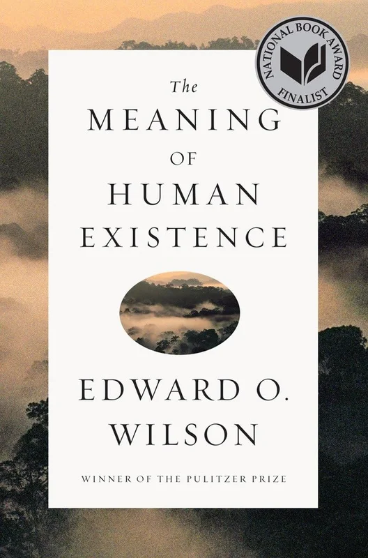 roundaboutbookstore-11647539