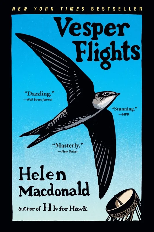 roundaboutbookstore-11735944
