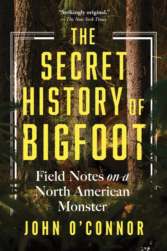 roundaboutbookstore-11736904