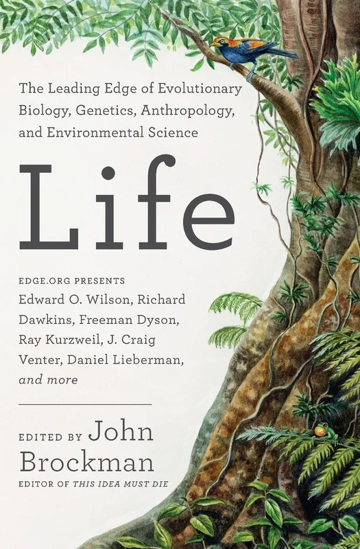 roundaboutbookstore-11745202